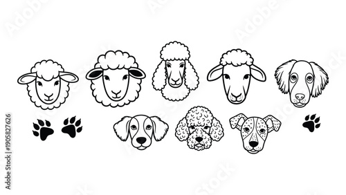 A delightful illustration of various animals and their footprints Vector