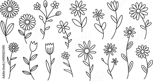 Minimalist Hand-Drawn Flower Line Art Collection