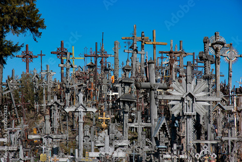 Dense Cluster of Crosses at Landmark