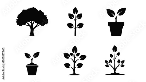 Vector illustration of plant growth stages and tree development icons set, on transparent background