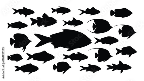A diverse collection of fish silhouettes in various shapes and sizes. Vector