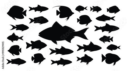 A diverse collection of various fish silhouettes in black and white Vector