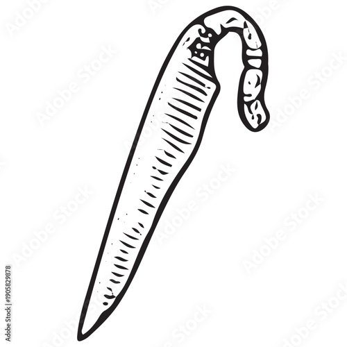 Vintage Medieval Curved Dagger Engraving Retro Knight Knife Weapon Illustration Antique Woodcut Art