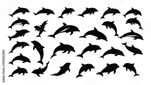 A playful group of dolphins leaping and swimming in the ocean. Vector