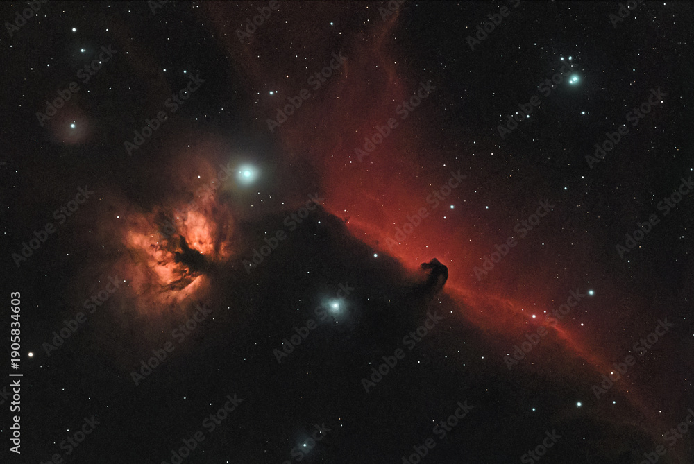 Obraz premium Flame and Horse's Head Nebulae close-up astrophoto in the constellation Orion