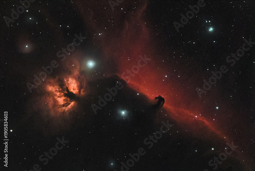 Flame and Horse's Head Nebulae close-up astrophoto in the constellation Orion
