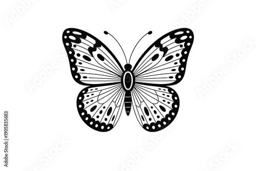 Elegant black and white butterfly illustration with intricate wing patterns