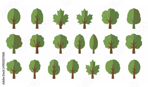 Modern Flat Deciduous Tree Vector Set with Oak Maple and Ash Botanical Icons Isolated on White Background