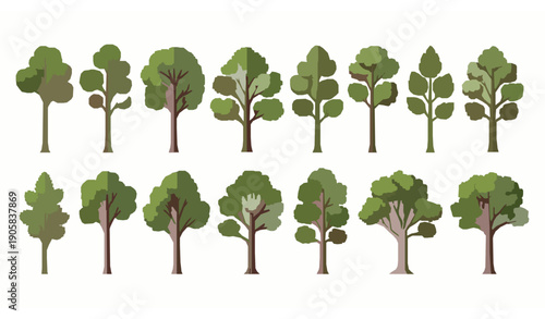 Botanical Tree Elements Vector Set with Oak Maple and Ash Leaves Branches Crowns and Trunks Flat Design