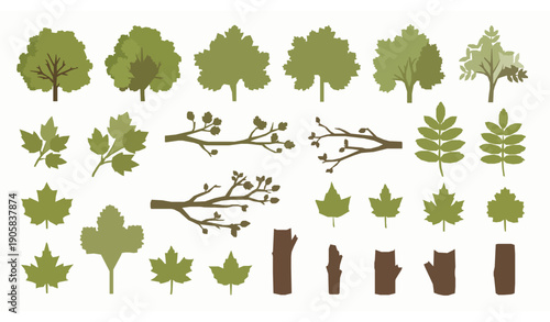 Deciduous Forest Trees Vector Collection with Oak Maple and Ash Flat Botanical Tree Set Isolated on White