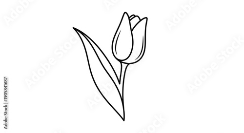 Minimalist tulip bud line art with long leaf – spring flower nature icon vector
