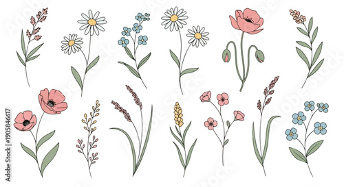 Colorful illustration of various wildflowers and plants arranged in rows on a white background with a vibrant and natural mood.