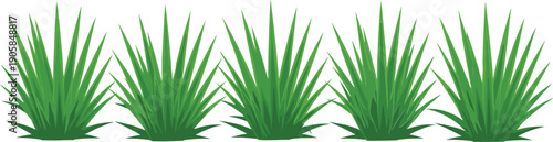 Green grass blades on white background nature