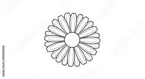 Minimalist daisy flower line art round center spring nature innocence icon vector