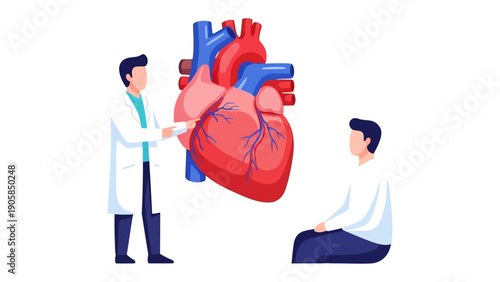 Heart Examination: Medical professional explains and reviews the heart to patient for diagnostics and healthcare.