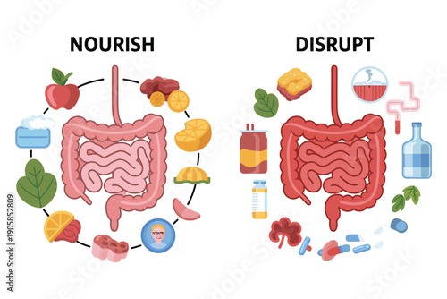 Healthy and unhealthy gut microbiome comparison with food and drinks