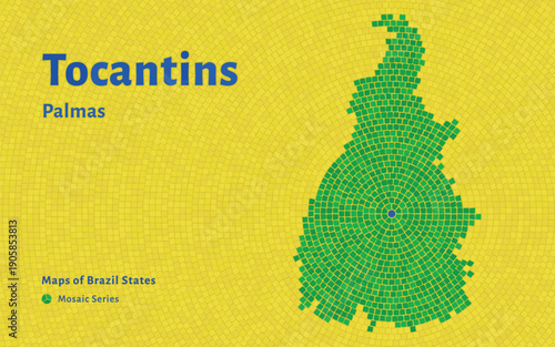 Tocantins Map in Mosaic Pattern with Capital Palmas