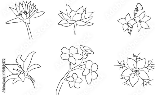  Abstract hand drawn herbs for scrapbooking design and journal, Grunge silhouette style flower art set or collection.