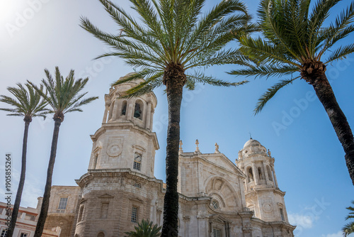 Palmeras y la catedral de Cádiz, Andalucía, España