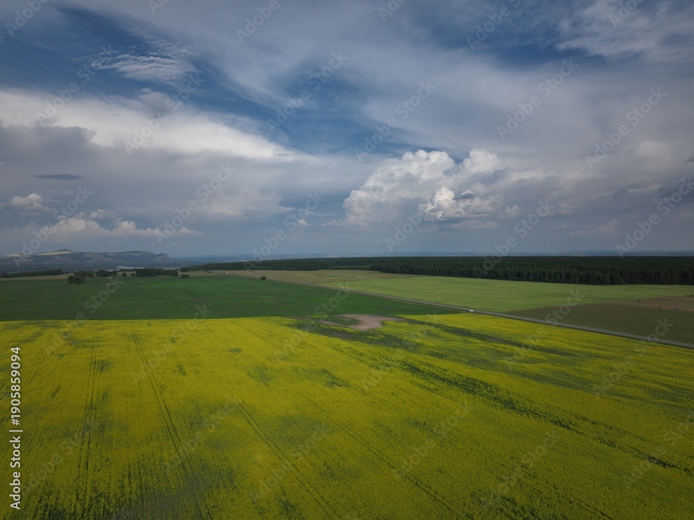 Obraz premium default