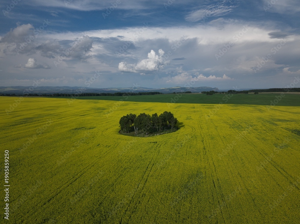 Obraz premium default