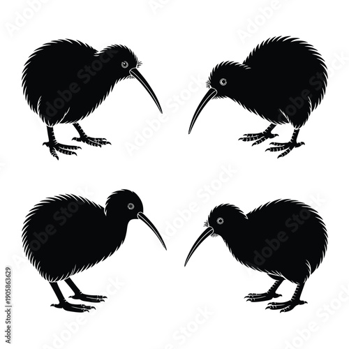 Four kiwi birds depicted in a minimalist black silhouette style