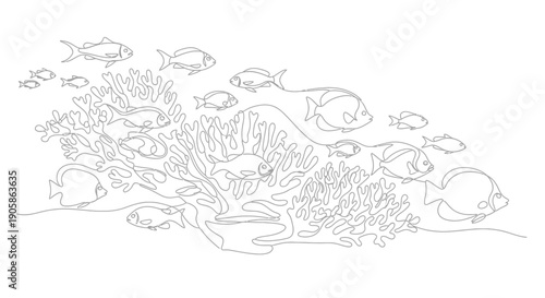 underwater scene with fish and coral reef