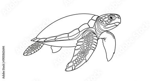 sea turtle swimming line art