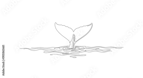 whale tail in water