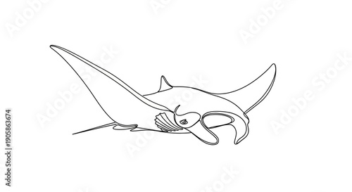 manta ray swimming line art