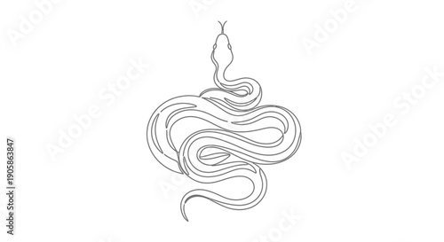 Snake illustration, coiled serpent drawing
