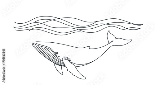 whale swimming underwater ocean waves