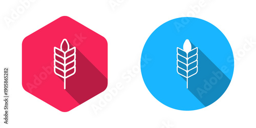 Filled and outline Cereals set with rice, wheat, corn, oats, rye, barley icon isolated with long shadow background. Ears of wheat bread symbols. Vector