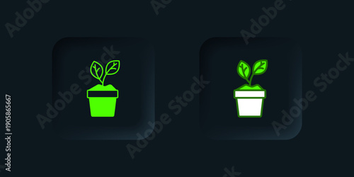Green Plant in pot icon isolated on black background. Plant growing in a pot. Potted plant sign. Black square button. Vector