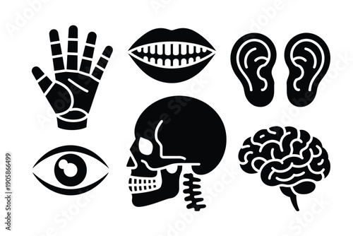 Collection of stylized human body part icons, representing senses and anatomy