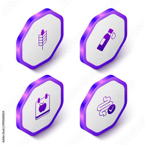 Set Isometric Wheat, Bottle of water, Diet plan and Intestines icon. Purple hexagon button. Vector