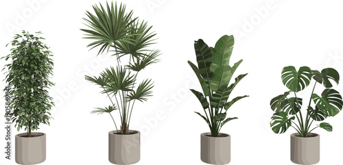 Indoor potted tropical plants set, modern decorative houseplants, tall palm, bird of paradise, monstera, ficus, minimalist planter green foliage styling
