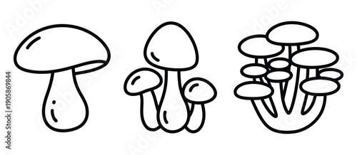 Simple black and white line art illustration of three different types of edible mushrooms, clean vector designs for culinary illustrations, recipe books, foraging guides, food blogs, and educational 