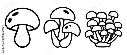 Simple black and white line art illustration of three different types of edible mushrooms, vector drawings for cooking, culinary guides, botanical study, food packaging, and recipe design projects.