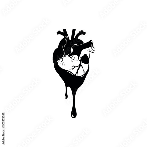 Anatomical Heart Melting Silhouette Vector