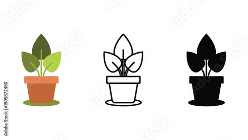 Three different styles of a potted plant are displayed side-by-side.
