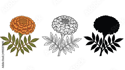 Three distinct representations of a marigold flower are displayed side-by-side.