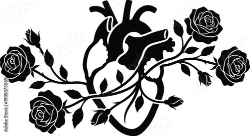 Anatomical Heart with Roses Silhouette Vector