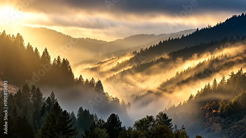 Golden sunbeams pierce misty mountain forest slopes at dawn