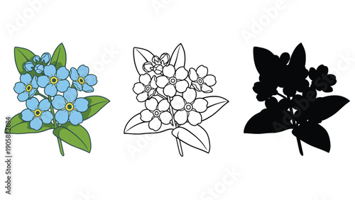 Three representations of a cluster of forget-me-not flowers.