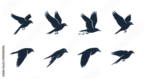 Several blackbird silhouettes depict various stages of flight and pose
