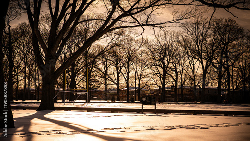 Snow Covered Park During Golden Hour