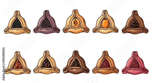 Collection of various colorful and textured seashells