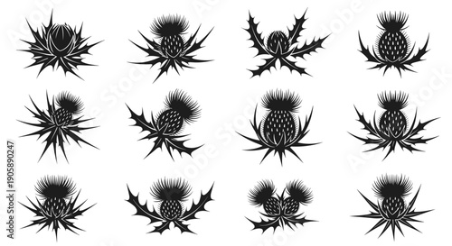 Collection of black spiky silhouettes of various insects and bugs