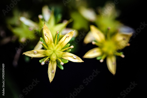 Nature Photography